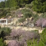 The Cassita - a small house with three rooms.