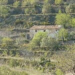 The Main House as it was when we acquired it.